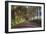 Tree Tunnel to Old Koloa Town, Kauai Hawaii-Vincent James-Framed Photographic Print