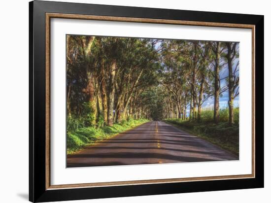 Tree Tunnel to Old Koloa Town, Kauai Hawaii-Vincent James-Framed Photographic Print