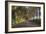 Tree Tunnel to Old Koloa Town, Kauai Hawaii-Vincent James-Framed Photographic Print