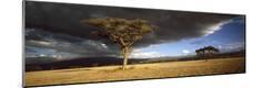 Photographic Print