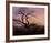 Tree with Crows-Caspar David Friedrich-Framed Art Print