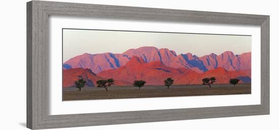 Tree with mountain in southern Namib Desert, Sesriem-Keren Su-Framed Photographic Print