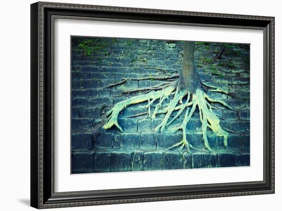 Tree with Roots Growing on a Rock-vvvita-Framed Photographic Print