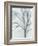 Tree with White Sky I-Jennifer Goldberger-Framed Art Print