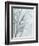 Tree with White Sky II-Jennifer Goldberger-Framed Premium Giclee Print