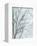 Tree with White Sky II-Jennifer Goldberger-Framed Art Print
