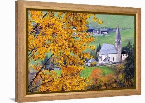 Tree with yellow leaves with the church of Santa Magdalena in the background, Funes Valley, Sudtiro-Francesco Bergamaschi-Framed Premier Image Canvas