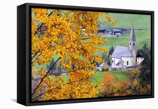 Tree with yellow leaves with the church of Santa Magdalena in the background, Funes Valley, Sudtiro-Francesco Bergamaschi-Framed Premier Image Canvas