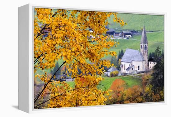 Tree with yellow leaves with the church of Santa Magdalena in the background, Funes Valley, Sudtiro-Francesco Bergamaschi-Framed Premier Image Canvas