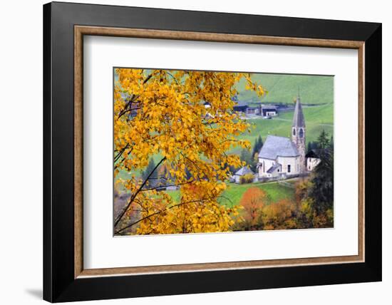 Tree with yellow leaves with the church of Santa Magdalena in the background, Funes Valley, Sudtiro-Francesco Bergamaschi-Framed Photographic Print