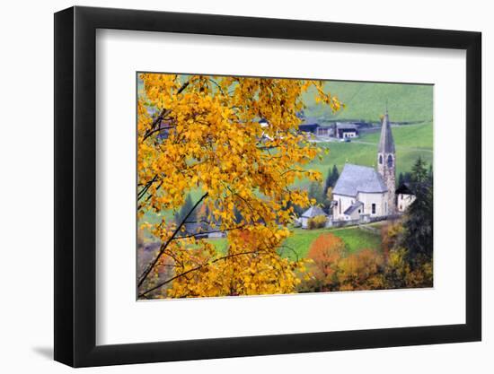 Tree with yellow leaves with the church of Santa Magdalena in the background, Funes Valley, Sudtiro-Francesco Bergamaschi-Framed Photographic Print