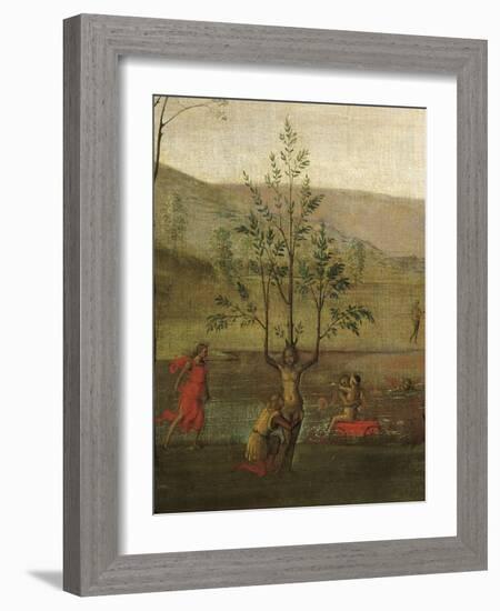 Tree-Woman, Detail of Struggle Between Love and Chastity, 1503-1505-Pietro Perugino-Framed Giclee Print