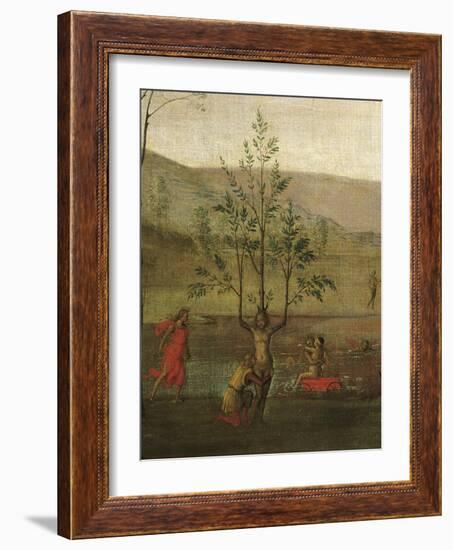 Tree-Woman, Detail of Struggle Between Love and Chastity, 1503-1505-Pietro Perugino-Framed Giclee Print