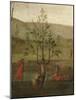 Tree-Woman, Detail of Struggle Between Love and Chastity, 1503-1505-Pietro Perugino-Mounted Giclee Print