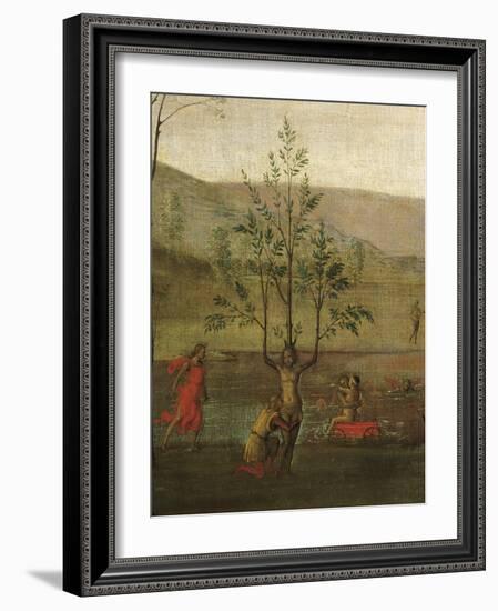 Tree-Woman, Detail of Struggle Between Love and Chastity, 1503-1505-Pietro Perugino-Framed Giclee Print