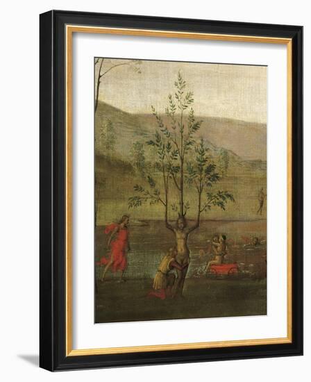 Tree-Woman, Detail of Struggle Between Love and Chastity, 1503-1505-Pietro Perugino-Framed Giclee Print