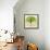 Tree World Concept-cienpies-Framed Stretched Canvas displayed on a wall
