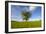 Tree zoomed against blue sky-Charles Bowman-Framed Photographic Print