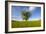 Tree zoomed against blue sky-Charles Bowman-Framed Photographic Print