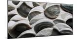 Premium Photographic Print