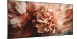 Premium Photographic Print