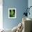 Treefrog-Joe McDonald-Framed Photographic Print displayed on a wall
