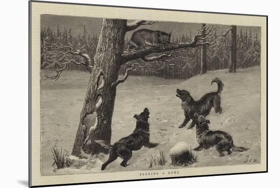 Treeing a Lynx-John Charles Dollman-Mounted Giclee Print