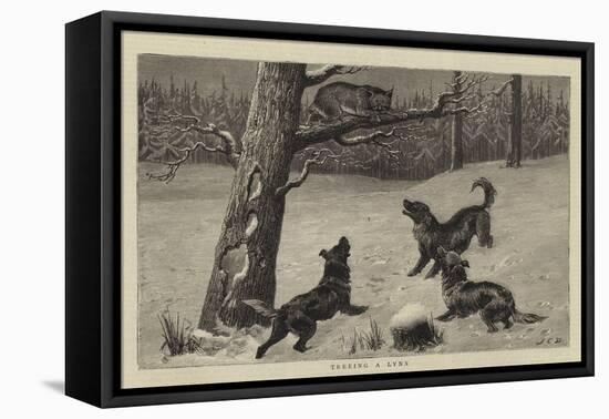 Treeing a Lynx-John Charles Dollman-Framed Premier Image Canvas