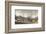 Treeline-Ray Hendershot-Framed Art Print