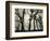 Trees, 1958-Brett Weston-Framed Photographic Print