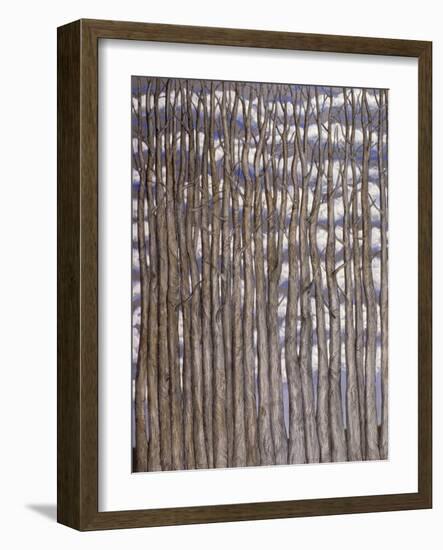 Trees against Clouds, 2009-Evelyn Williams-Framed Giclee Print