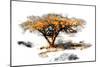 Trees Alive II-Ynon Mabat-Mounted Art Print