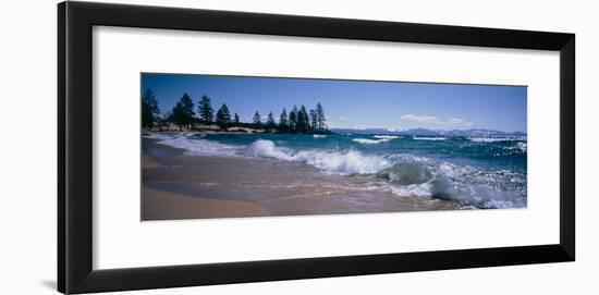 Trees Along a Lake, Lake Tahoe, Nevada, USA-null-Framed Photographic Print