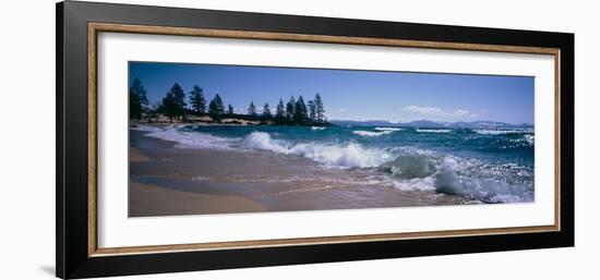 Trees Along a Lake, Lake Tahoe, Nevada, USA-null-Framed Photographic Print