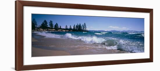 Trees Along a Lake, Lake Tahoe, Nevada, USA-null-Framed Photographic Print