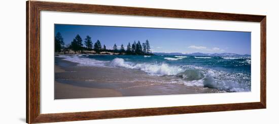 Trees Along a Lake, Lake Tahoe, Nevada, USA-null-Framed Photographic Print