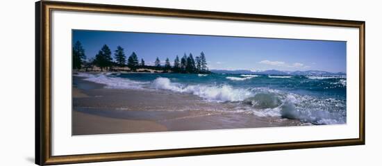 Trees Along a Lake, Lake Tahoe, Nevada, USA-null-Framed Photographic Print