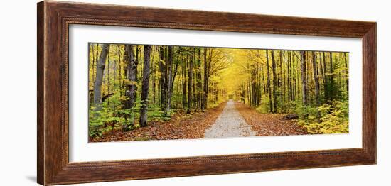 Trees Along a Pathway in Autumn, Hiawatha National Forest, Alger County, Upper Peninsula-null-Framed Photographic Print