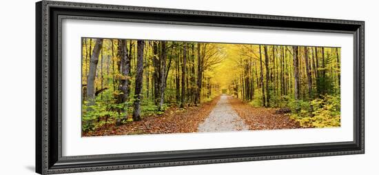 Trees Along a Pathway in Autumn, Hiawatha National Forest, Alger County, Upper Peninsula-null-Framed Photographic Print