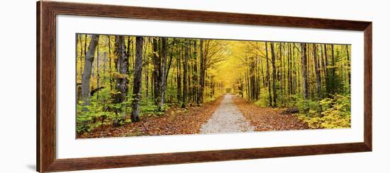 Trees Along a Pathway in Autumn, Hiawatha National Forest, Alger County, Upper Peninsula-null-Framed Photographic Print