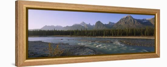 Trees Along a River with a Mountain Range in Back, Athabasca River, Jasper National Park, Alberta-null-Framed Premier Image Canvas