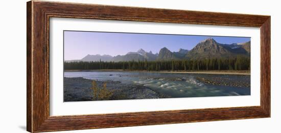 Trees Along a River with a Mountain Range in Back, Athabasca River, Jasper National Park, Alberta-null-Framed Photographic Print