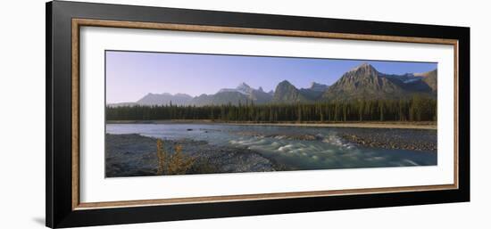 Trees Along a River with a Mountain Range in Back, Athabasca River, Jasper National Park, Alberta-null-Framed Photographic Print