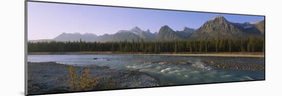 Trees Along a River with a Mountain Range in Back, Athabasca River, Jasper National Park, Alberta-null-Mounted Photographic Print