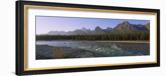 Trees Along a River with a Mountain Range in Back, Athabasca River, Jasper National Park, Alberta-null-Framed Photographic Print