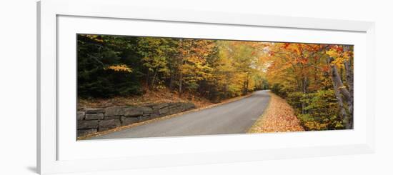 Trees Along a Road, Park Loop Road, Acadia National Park, Maine-null-Framed Photographic Print