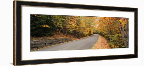 Trees Along a Road, Park Loop Road, Acadia National Park, Maine-null-Framed Photographic Print