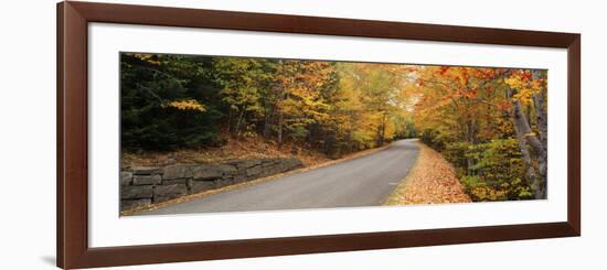 Trees Along a Road, Park Loop Road, Acadia National Park, Maine-null-Framed Photographic Print