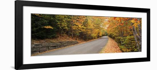 Trees Along a Road, Park Loop Road, Acadia National Park, Maine-null-Framed Photographic Print