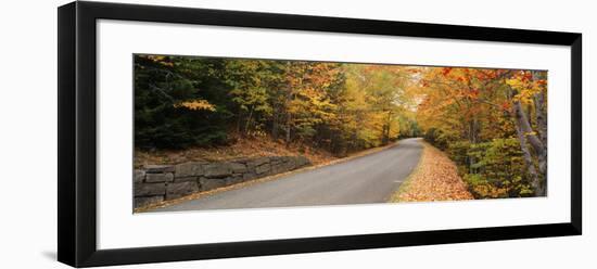 Trees Along a Road, Park Loop Road, Acadia National Park, Maine-null-Framed Photographic Print